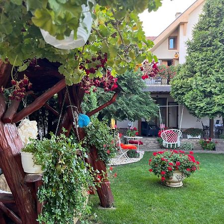 Casa Mona Villa Oradea Bagian luar foto