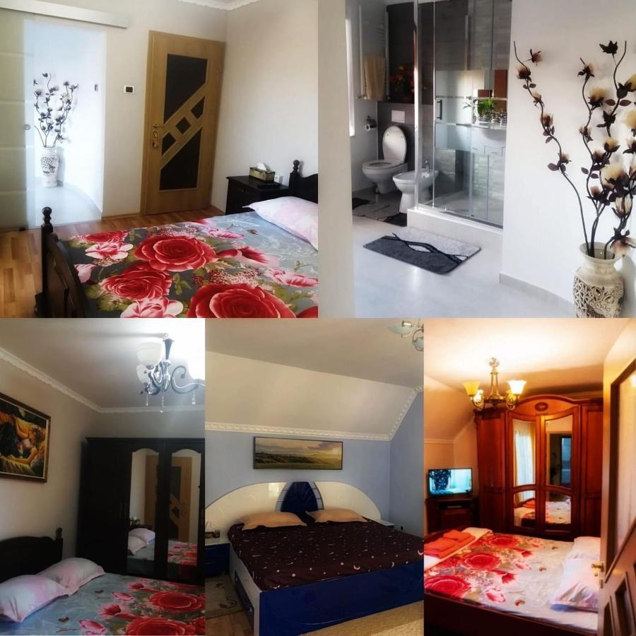 Casa Mona Villa Oradea Bagian luar foto
