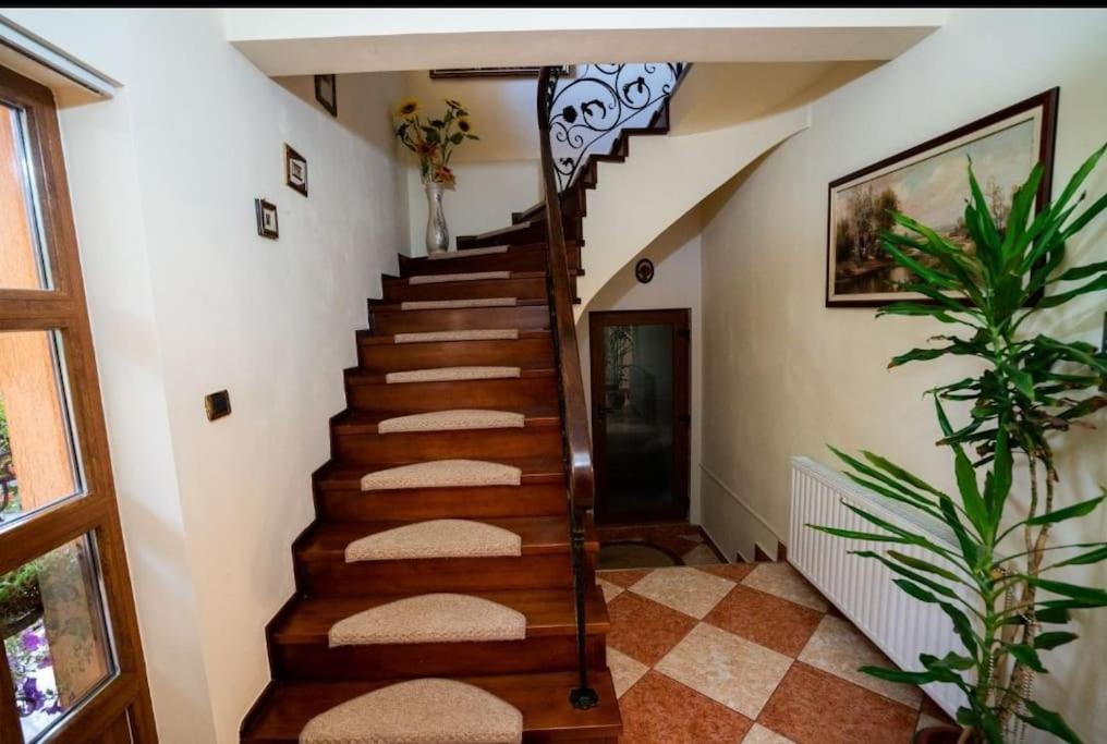Casa Mona Villa Oradea Bagian luar foto