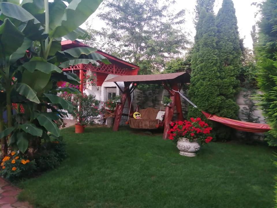 Casa Mona Villa Oradea Bagian luar foto