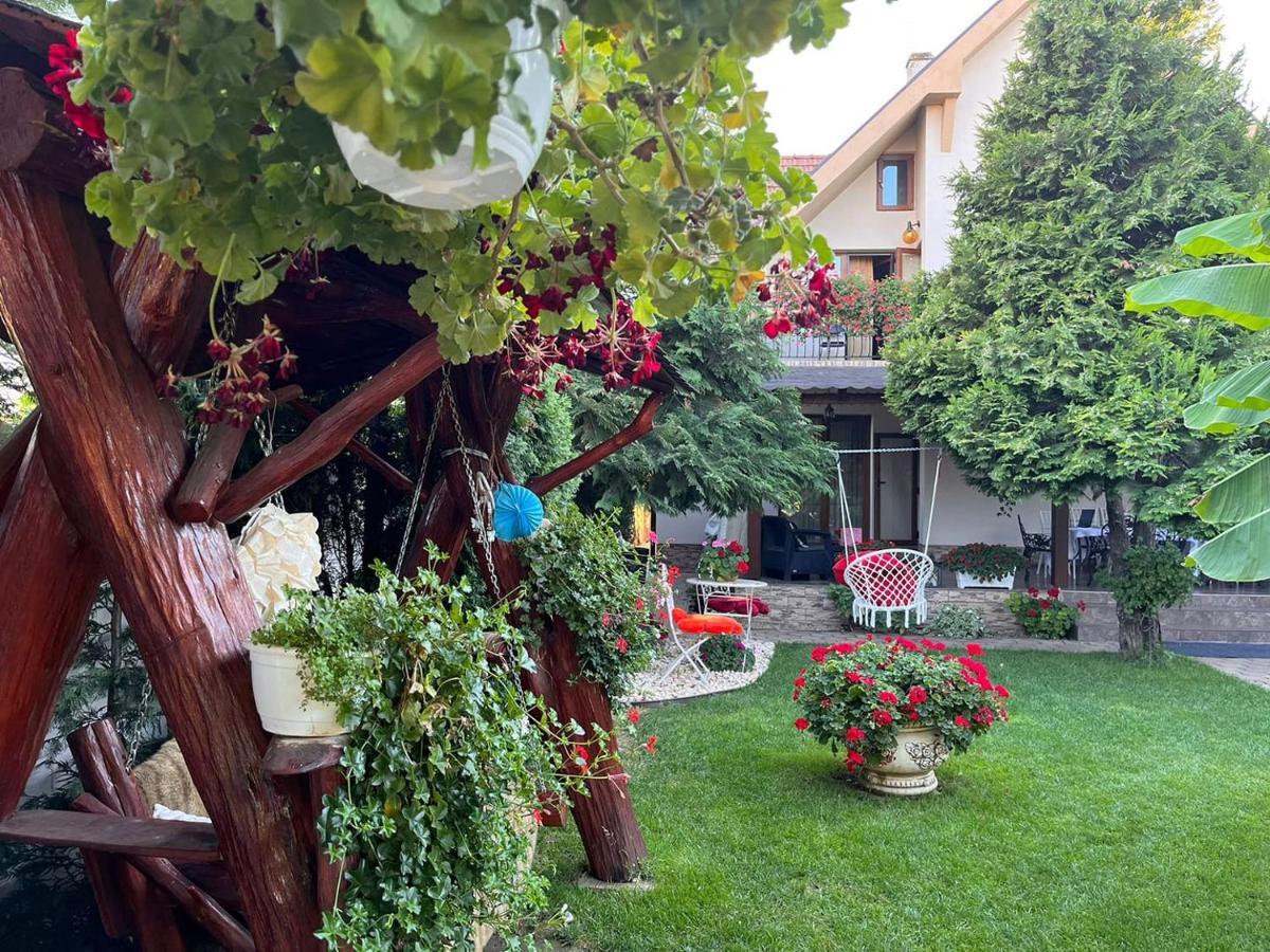 Casa Mona Villa Oradea Bagian luar foto